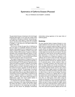 Systematics of California Grasses (Poaceae)