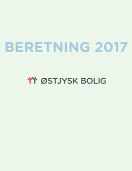 Beretning 2017