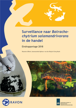 Surveillance Naar Batrachochytrium Salamandrivorans in De Handel 2018