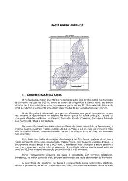 Análise Da Bacia Do Rio Gurguéia