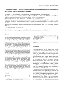 Molecular Phylogenetics and Description of Graciliella N. Gen. (Leiodidae, Leptodirini)