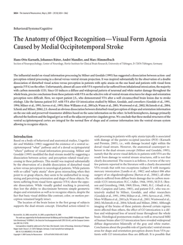 The Anatomy of Object Recognition—Visual Form Agnosia Caused by Medial Occipitotemporal Stroke