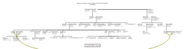 Tudor and Stewart Family Tree 15.2.17