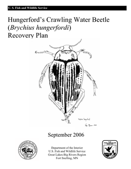 Hungerford's Crawling Water Beetle (Brychius Hungerfordi)