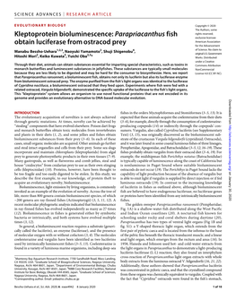 Kleptoprotein Bioluminescence: Parapriacanthus Fish Obtain