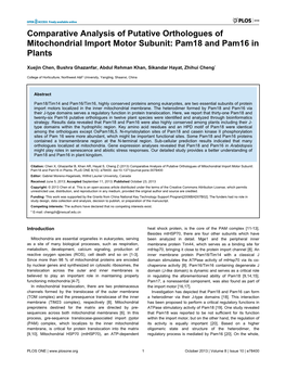 Comparative Analysis of Putative Orthologues of Mitochondrial Import Motor Subunit: Pam18 and Pam16 in Plants