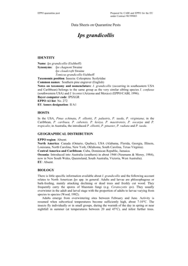 Data Sheet on Ips Grandicollis