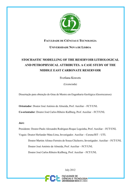 Stochastic Modelling of the Reservoir Lithological and Petrophysical Attributes