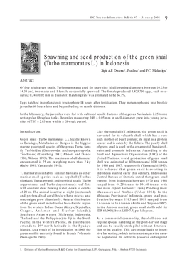 Spawning and Seed Production of the Green Snail (<I>Turbo Marmoratus