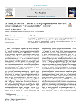 An Inside Job Annexin 1A-Inositol 1,4,5-Trisphosphate Receptor