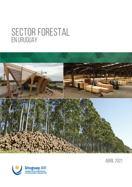 Sector FORESTAL En Uruguay