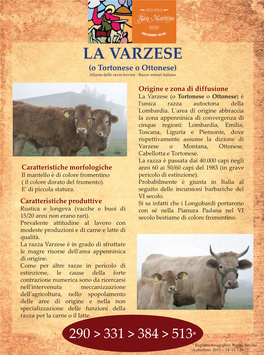 LA VARZESE (O Tortonese O Ottonese) Atlante Delle Razze Bovine - Razze Minori Italiane