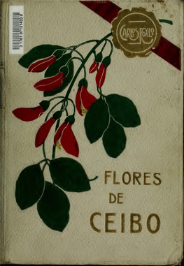 Flores De Ceibo