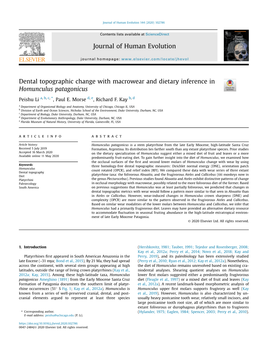 Dental Topographic Change with Macrowear and Dietary Inference in Homunculus Patagonicus