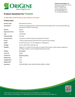 Actl6a (NM 019673) Mouse Recombinant Protein Product Data