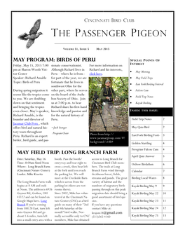 The Passenger Pigeon