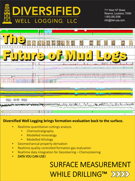 The Future of Mud Logs the Future of Mud Logs