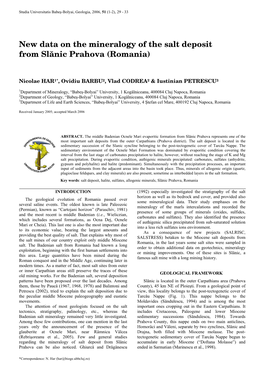 New Data on the Mineralogy of the Salt Deposit from Slanic Prahova (Romania)