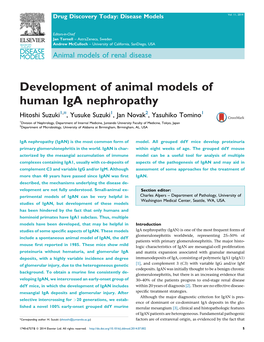 Development of Animal Models of Human Iga Nephropathy