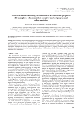 Molecular Evidence Resolving the Confusion of Two Species of Spilopteron (Hymenoptera: Ichneumonidae) Caused by Marked Geographical Colour Variation