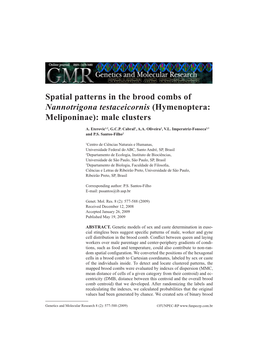 Spatial Patterns in the Brood Combs of Nannotrigona Testaceicornis (Hymenoptera: Meliponinae): Male Clusters