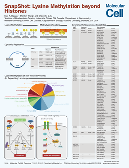 Snapshot: Lysine Methylation Beyond Histones Kyle K