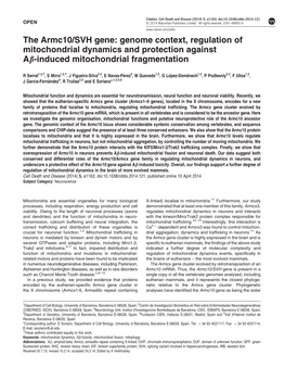 SVH Gene: Genome Context, Regulation of Mitochondrial Dynamics and Protection Against Ab-Induced Mitochondrial Fragmentation