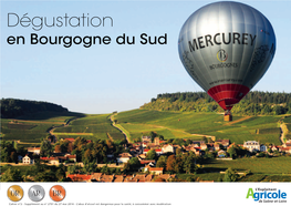 Dégustation En Bourgogne Du Sud