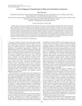 A New Subgeneric Classification of Rhipsalis (Cactoideae, Cactaceae)