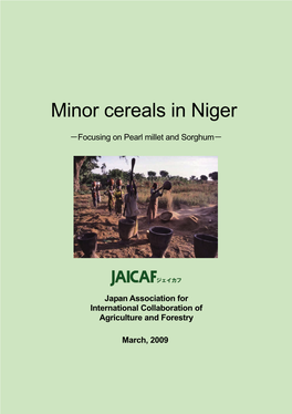 Minor Cereals in Niger