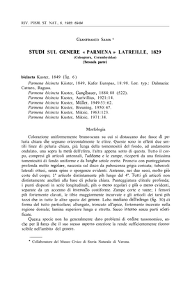 Studi Sul Genere Parmena Latreille, 1829 (Coleoptera, Cerambycidae)