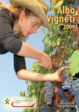 Albo Vigneti 2009