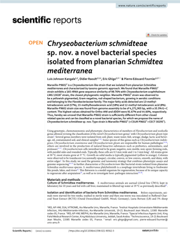 Chryseobacterium Schmidteae Sp. Nov. a Novel Bacterial Species Isolated