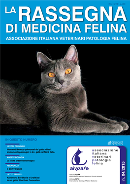 IL GATTO RESPIRA MALE: Cosa Sta Succedendo ?