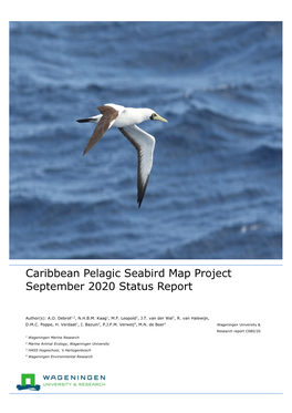 Caribbean Pelagic Seabird Map Project September 2020 Status Report