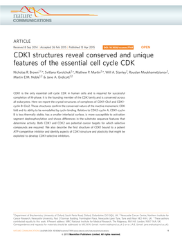 CDK1 Structures Reveal Conserved and Unique Features of the Essential Cell Cycle CDK