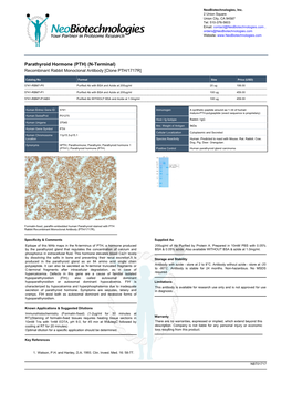 Parathyroid Hormone (PTH) (N-Terminal) Recombinant Rabbit Monoclonal Antibody [Clone PTH/1717R]