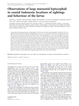 Observations of Large Muraenid Leptocephali in Coastal Indonesia: Locations of Sightings and Behaviour of the Larvae Michael J