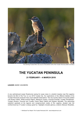 The Yucatan Peninsula (Mark Van Beirs)