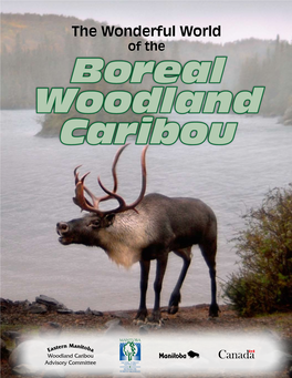 Woodland Caribou Bingo