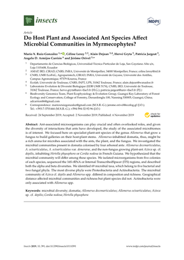 Do Host Plant and Associated Ant Species Affect Microbial Communities in Myrmecophytes