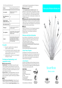 Sharp Rush (Juncus Acutus) Throughout the Year