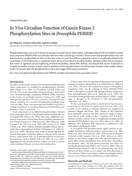 In Vivocircadian Function of Casein Kinase 2 Phosphorylation Sites Indrosophilaperiod