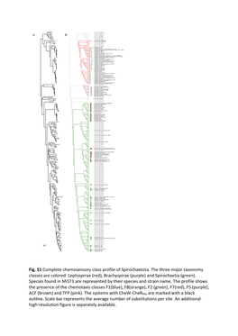 Fig. S1 Complete Chemosensory Class Profile of Spirochaetota. the Three