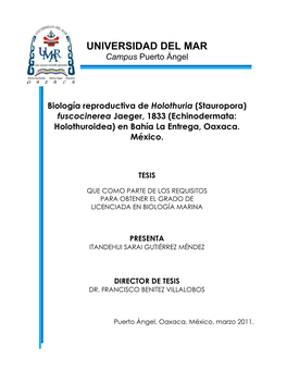 UNIVERSIDAD DEL MAR Campus Puerto Ángel