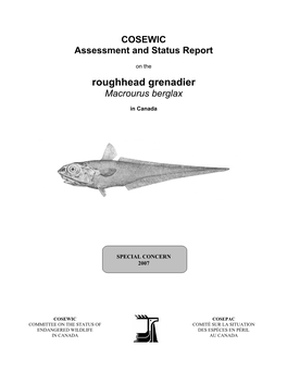 Roughhead Grenadier (Macrourus Berglax) Biology and Population Structure on Flemish Cap (NAFO Division 3M), 1991-1999