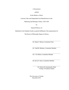 Leetonia, Ohio and Independent Iron Manufacturers in the Mahoning and Shenango Valleys, 1845-1920