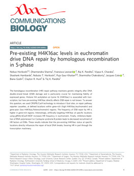 Pre-Existing H4k16ac Levels in Euchromatin Drive DNA Repair by Homologous Recombination in S-Phase