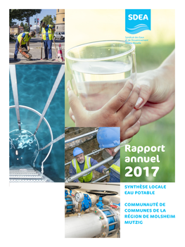 Rapport Annuel 2017