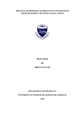 Ph.D. Thesis by IRFAN ULLAH